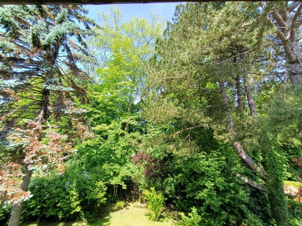 Villa 100 M Du Touquet Entre Foret Et Mer Cucq Exteriér fotografie