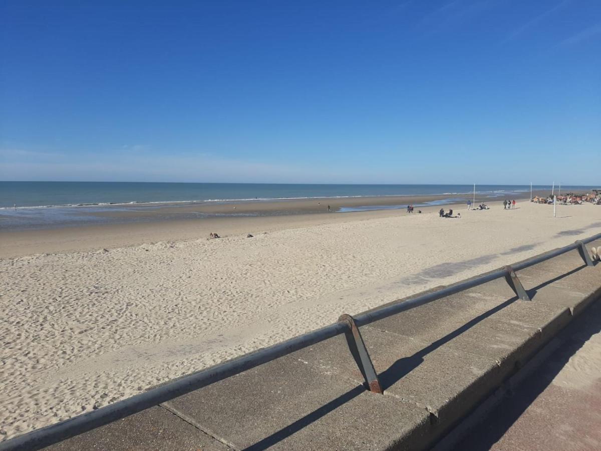 Villa 100 M Du Touquet Entre Foret Et Mer Cucq Exteriér fotografie